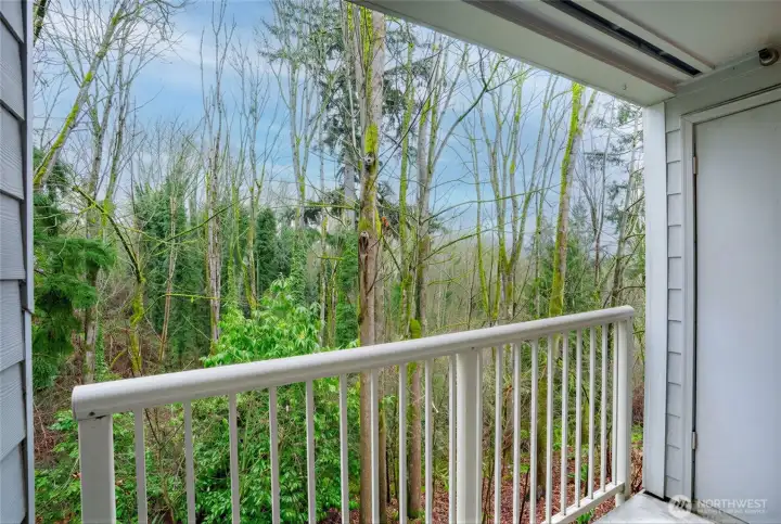 Balcony overlooking greenbelt