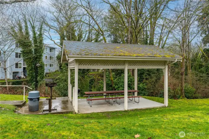 Gazebo with Outdoor Table and BBQ Grill