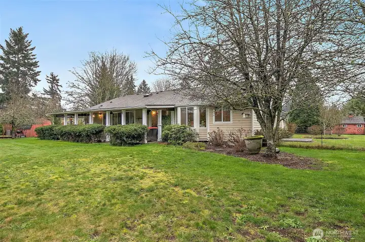 Still...the backyard!