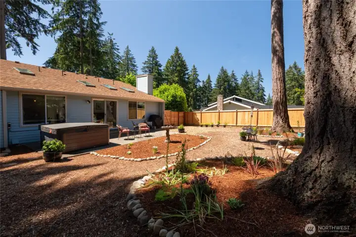 Newly fenced backyard