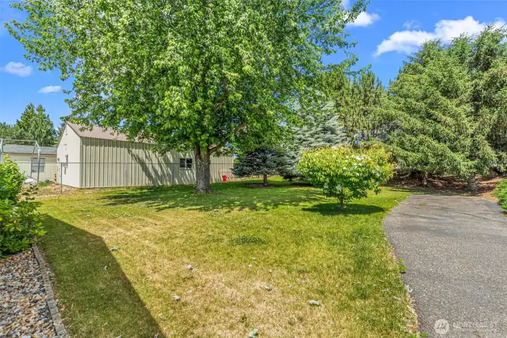 SIDE YARD SIDE YARD