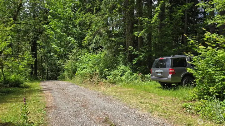 park here at the Real Estate Arrow and follow it to the property. park here at the Real Estate Arrow and follow it to the property.