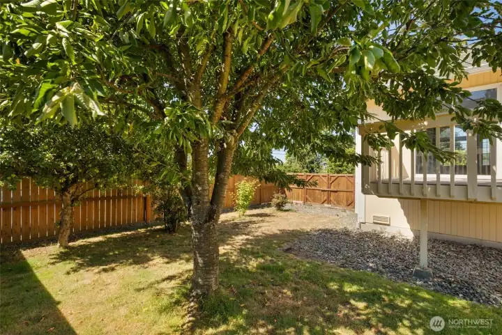 Fruit trees Fruit trees