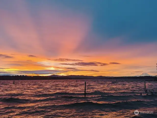 See the most beautiful sunrises and Mt. Rainier views at Madison Park Beach.