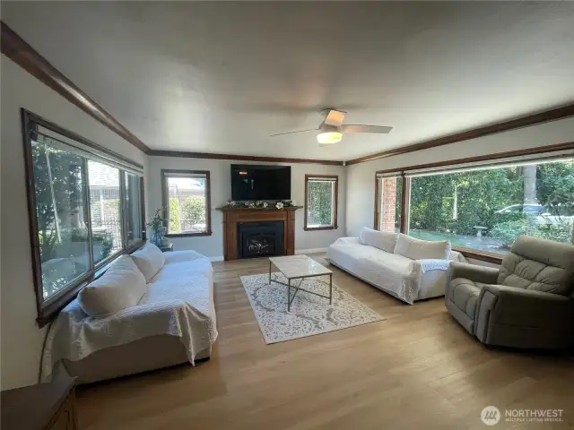Living Room with Lots of Light