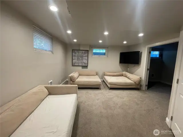 Bonus Room in Lower Level