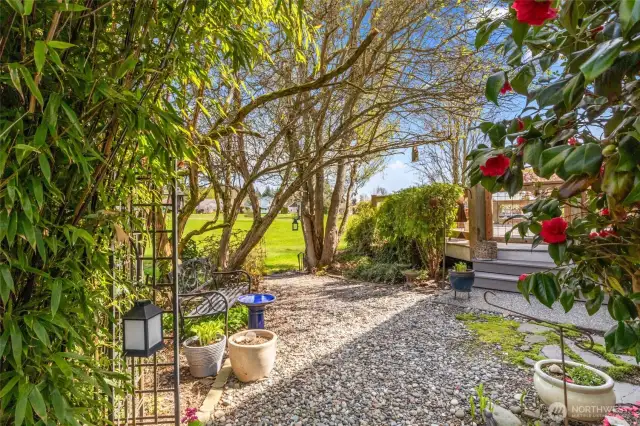 backyard landscaping