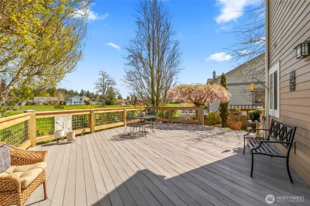 expansive back deck