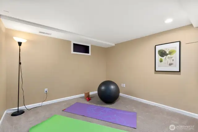 Extra finished room with closet.  Storage? Office? Exercise?
