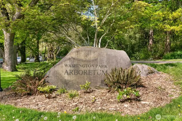 Two blocks away lies the entrance to the Washington Park Arboretum which has exquisite walking paths to the shores of Lake Washington.