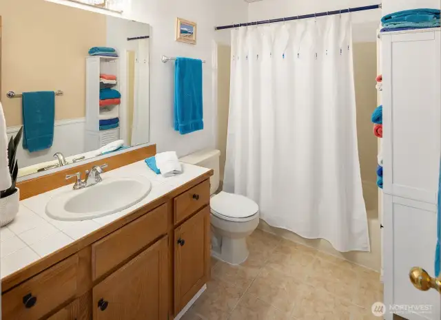 Hallway guest bathroom.