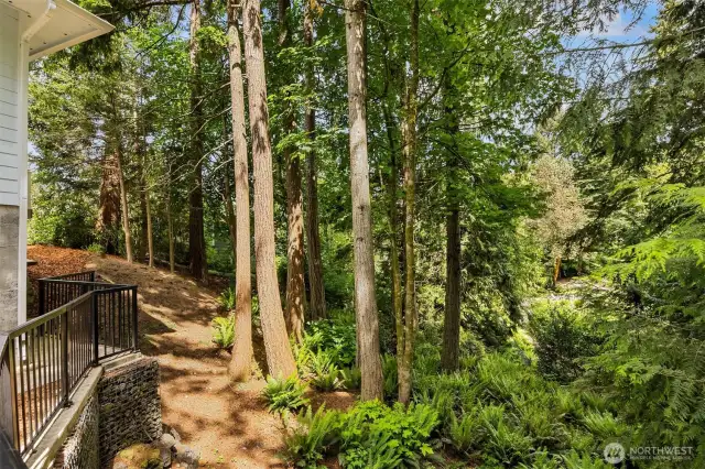 A view of the private, back forested area.  A true retreat