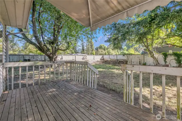 Back yard deck