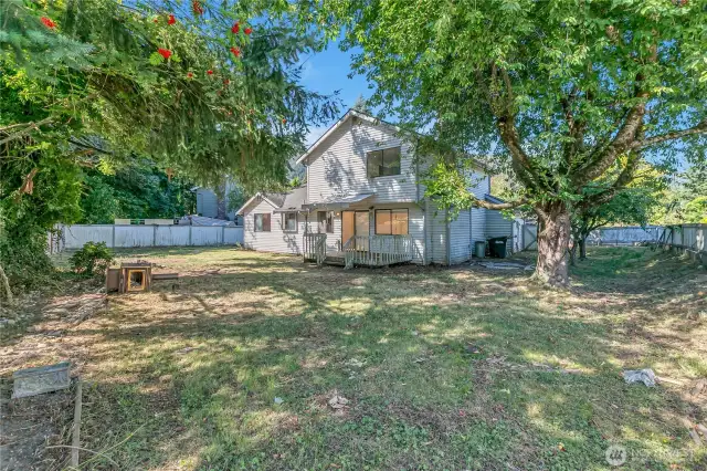 back yard
