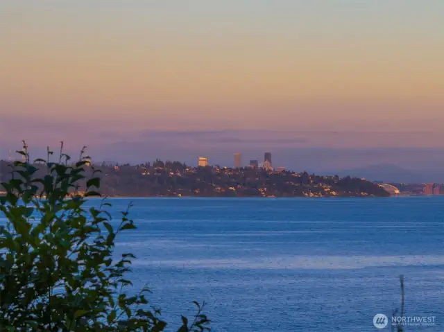 City lights behind Magnolia Bluff
