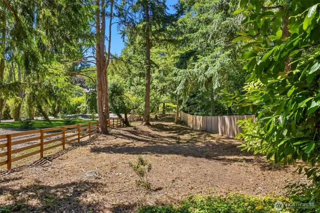 Newly cleared and fenced area--garden space? Dog run?