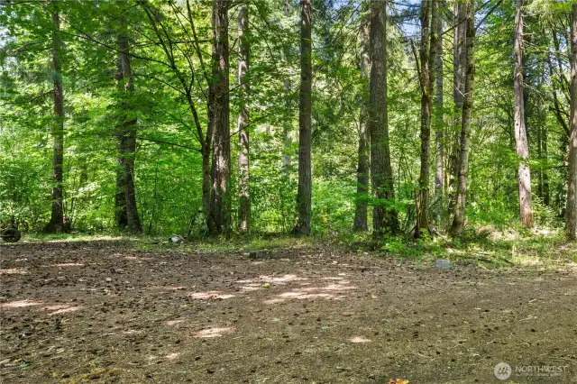 Great Wooded Lot Zoned For Light Industrial