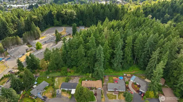 Shelton View Forest and its trail system are directly behind the property