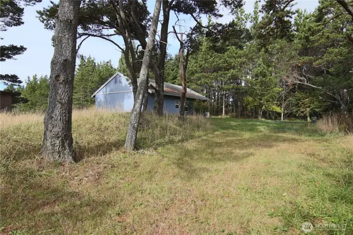 Front yard
