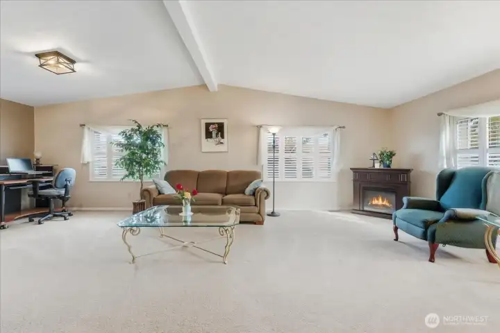 Vaulted Living Room