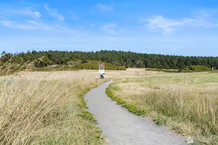 Trail from North Beach to Fort Worden.