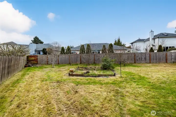 Backyard looking west...