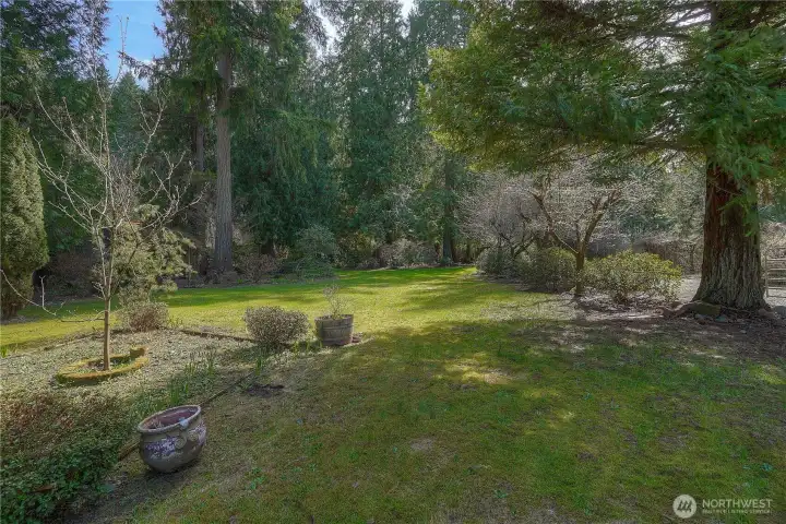 Spacious, park-like yard surrounded by mature trees, offering a peaceful and private outdoor setting.