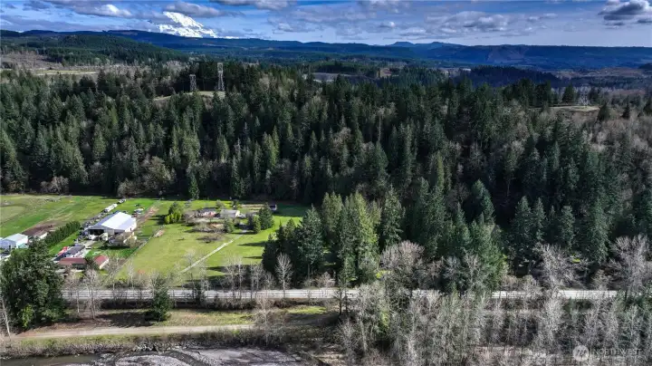 Stunning aerial view showcasing expansive acreage surrounded by lush forest with Mount Rainier in the distance. A rare blend of privacy, natural beauty, and usable land in a breathtaking Pacific Northwest setting.
