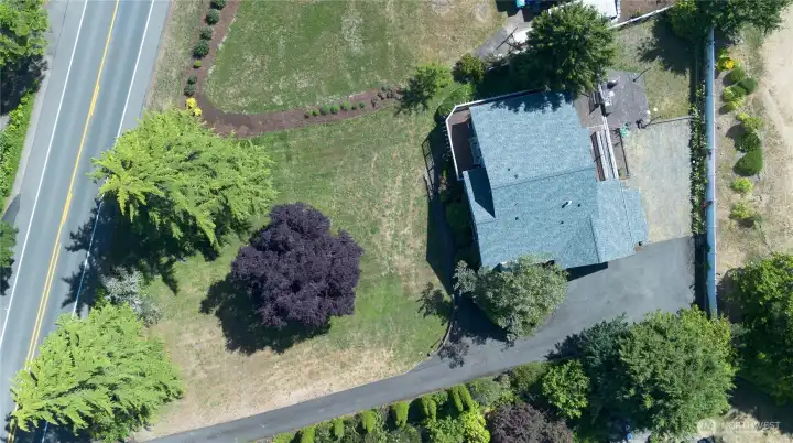 An aerial look at the large .38 acre lot, showing the home's setting among mature trees.