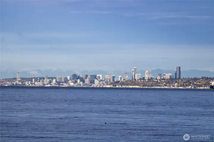 A clear day brings the Seattle skyline into sharp focus across the water, as seen from the pier.