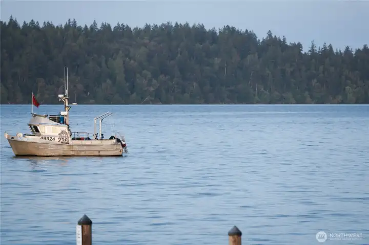 A local fishing boat nearby, against a backdrop of forested shoreline typical of this stretch of the Sound.