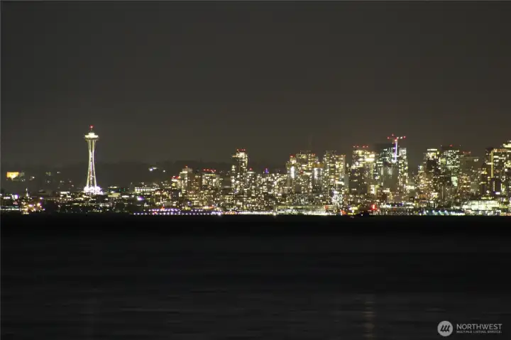The Seattle skyline lights up after dark from the pier.