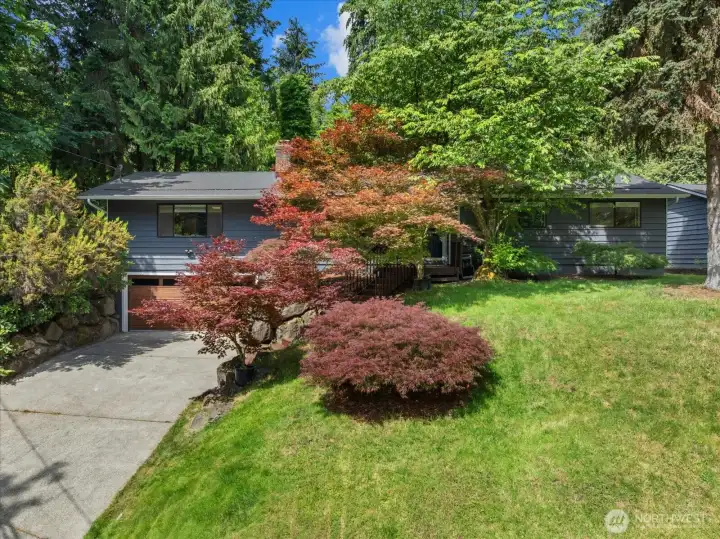Welcome home to this refreshed Kenmore rambler perched in a quiet neighborhood just minutes to downtown Kenmore, shopping, transit, parks and more.