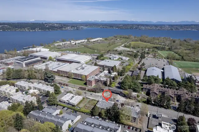 So many things to do in Magnuson Park!