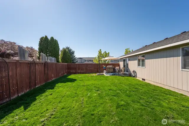 Back yard with sprinkler system