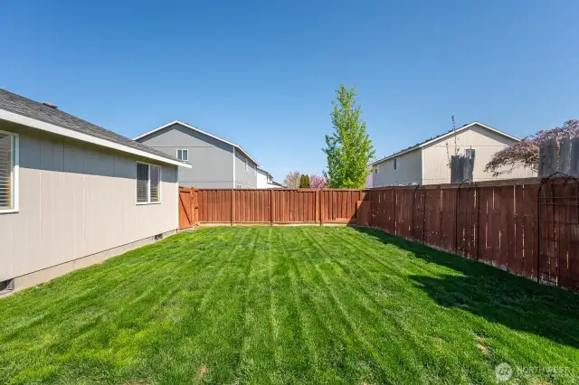 Fenced Backyard