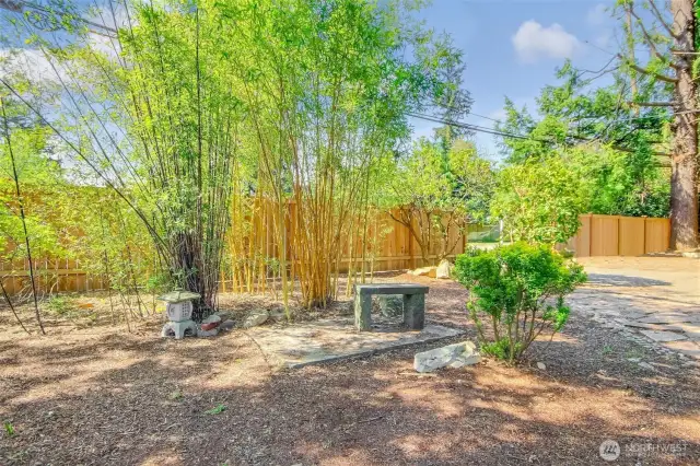 Beautiful front landscaping - various types of bamboo.