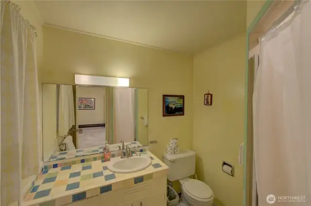 Lower level bathroom