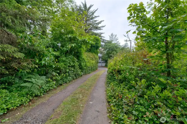 Secluded driveway with mature landscaping.