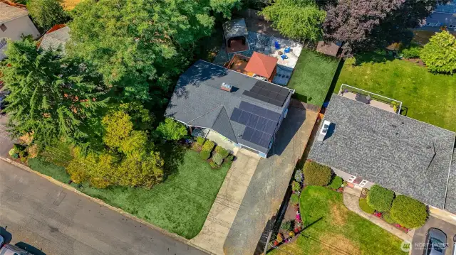 yard has been greened up to show normal state