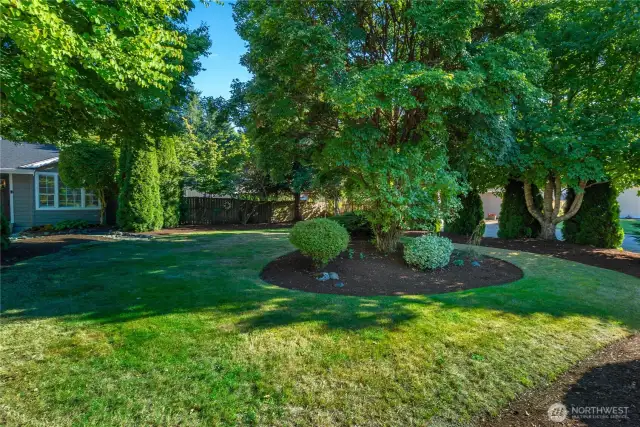 Front yard curb appeal! Enjoy this spacious front yard with trees for some added privacy!