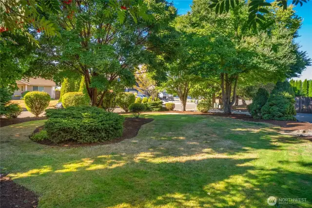 Enjoy tall trees that fill the front yard for added privacy!