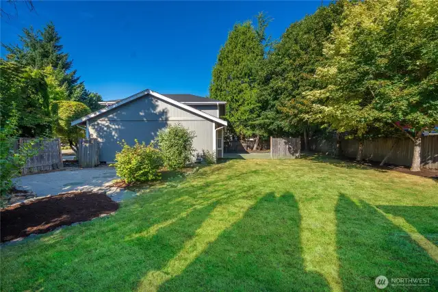 Huge yard!
