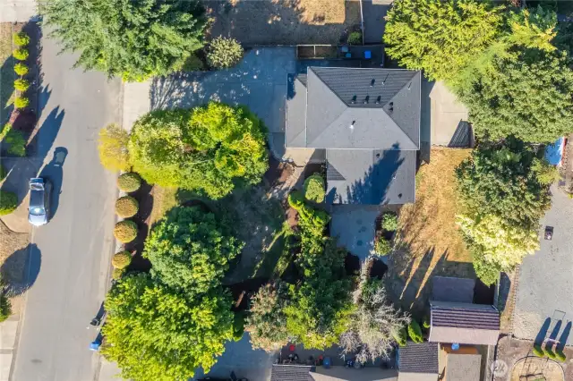 A spacious lot spanning just over .25 acres.