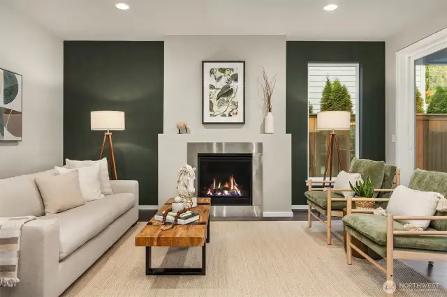 Self lighting pilot gas fireplace has battery back-up for any storm nights.