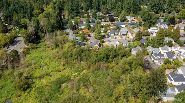 Kelsey Creek nature area looking north houses in center of photo. This is your backyard and it won’t be changing.