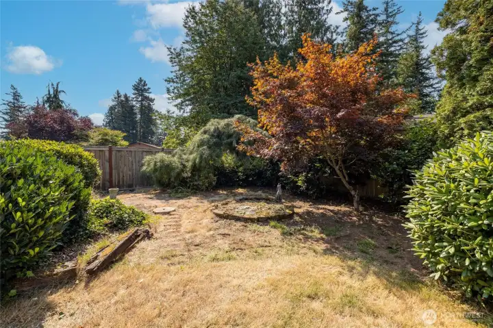 More backyard space