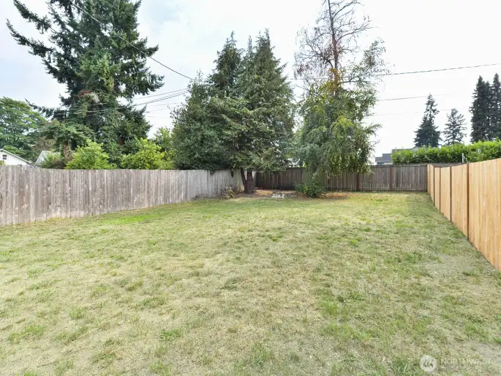 Large Backyard