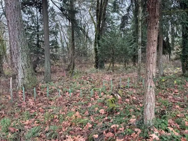 West Side of Subject Property.