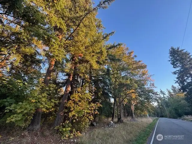 South facing picture taken from west side of property facing south down 52nd Ave. S. - 52nd Ave. S. is a dead-end street that currently serves just one (1) home at this time and will eventually serve just nine (9) homes.